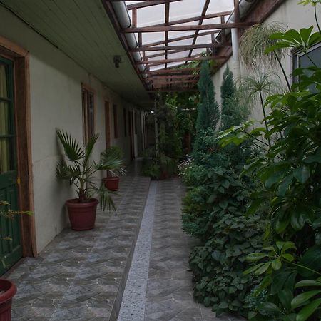 Hostel 1760 Talca  Kültér fotó